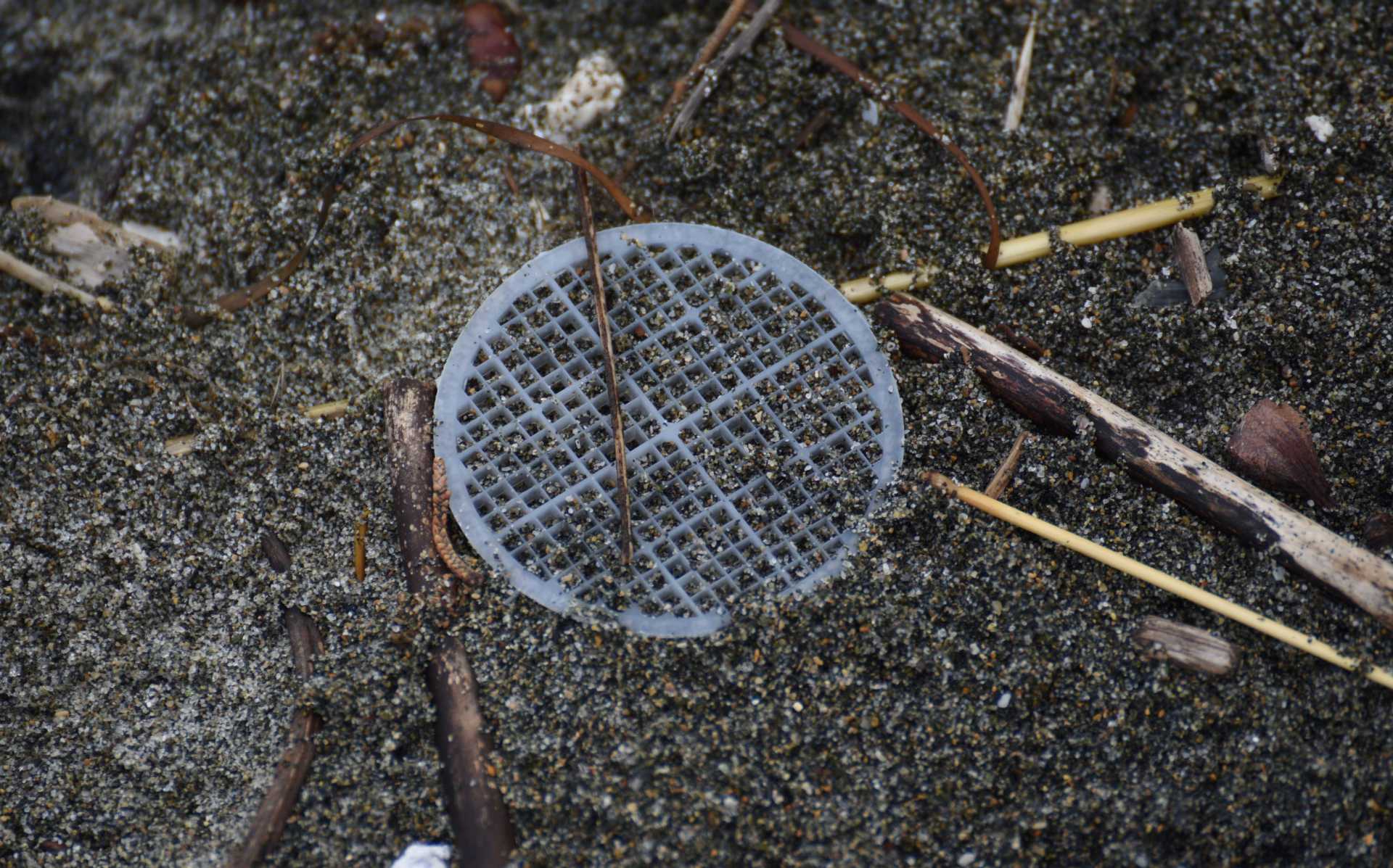 Il mistero dei dischetti in plastica sulla spiaggia